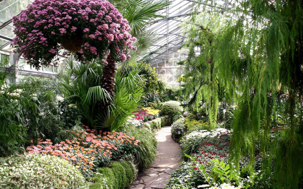 The inside of the allen gardens in Toronto, a wedding ceremony venue.