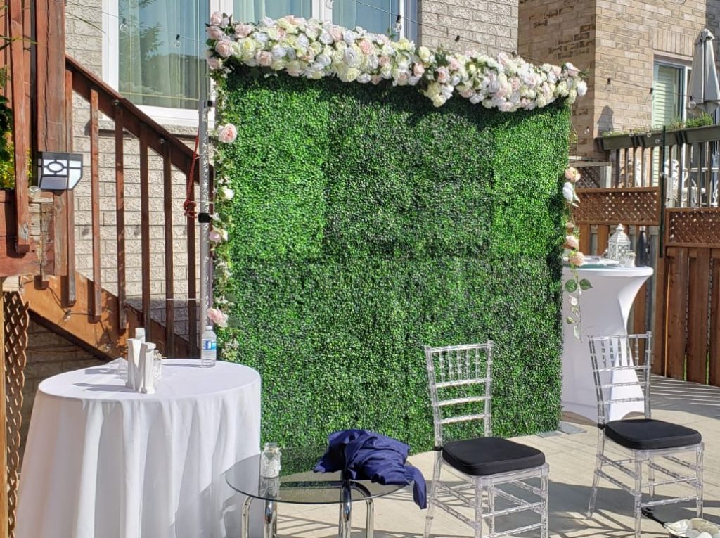 Green boxwood back drop rental toronto 