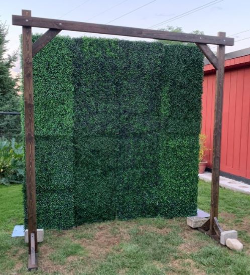 Green boxwood Toronto wedding backdrop 