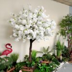 White Cherry Blossom Tree Rental