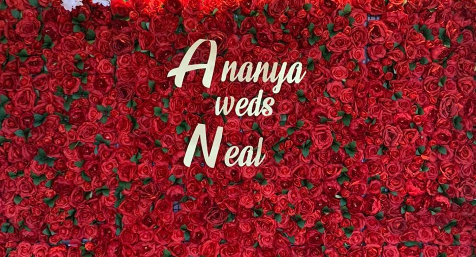 Conception Bay South Flower Walls