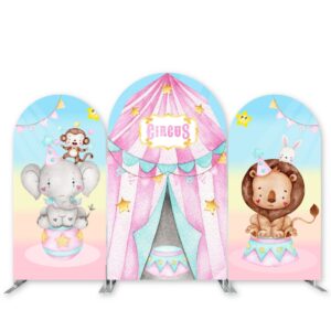 Kids Birthday Party Backdrops