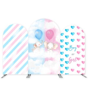 Party Backdrops Rental for Birthday