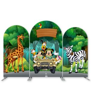 Kids Birthday Party Disney Backdrops Rental