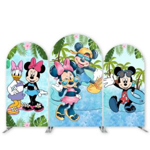 Kids Party Disney Backdrops Rentals