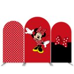 Disney Kids Party Backdrops for Rent