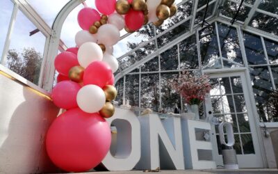 Kids Birthday Party Rentals in Whitby