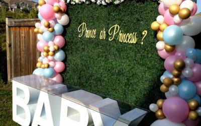 Kids Birthday Party Rentals in Caledon